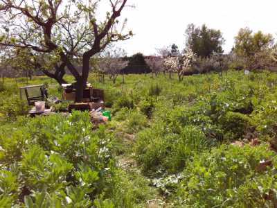 Una porzione di terra con degli strumenti utilizzati per lavorare il campo